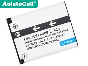 Fujifilm VPC-T850 battery