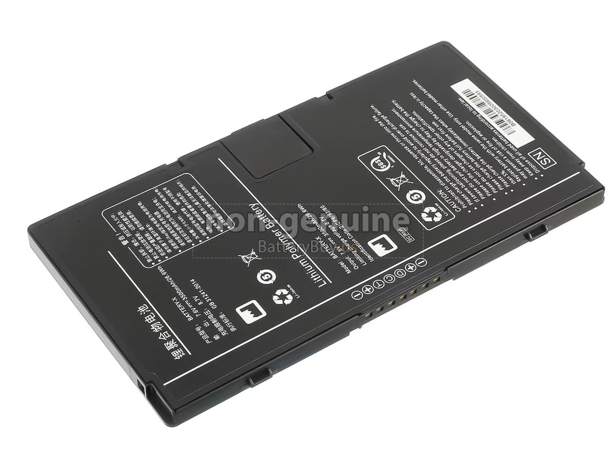 battery for Iray BATTERY-X