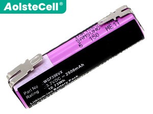 Karcher WV1 battery