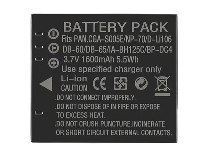 Leica D-LUX2 battery