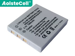 Minolta NP-1 battery
