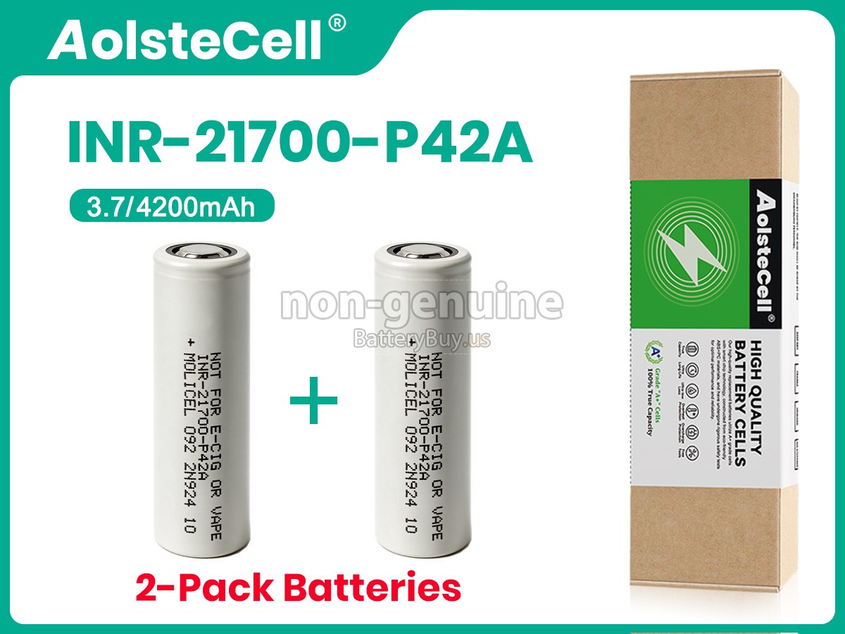 battery for Molicel P42A10C