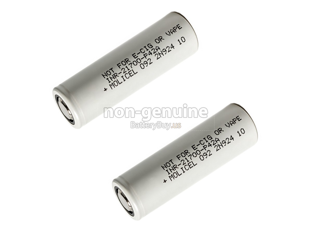 battery for Molicel P42A10C