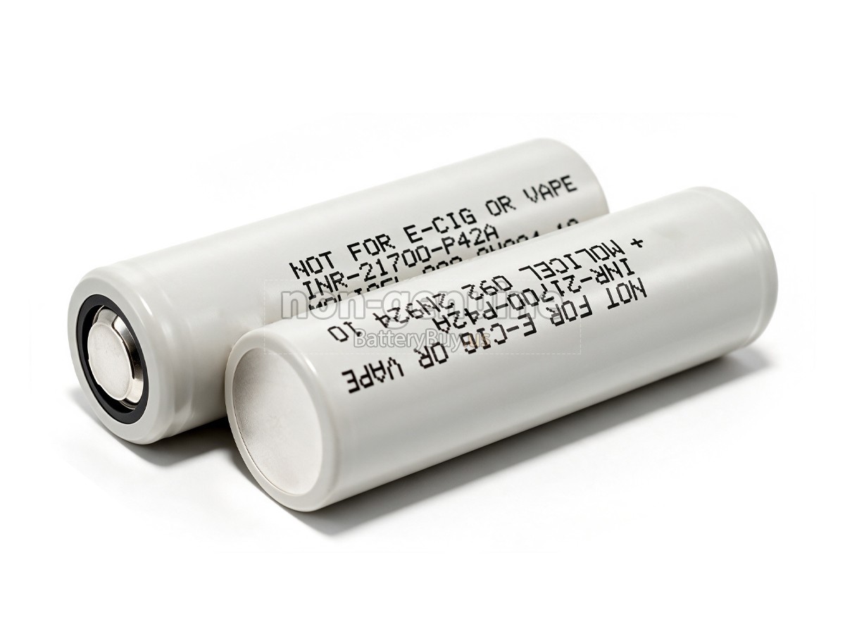 battery for Molicel P42A10C