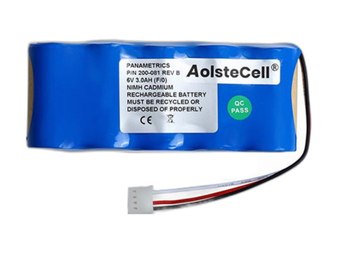 Panametrics 200-081 battery