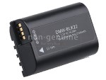 Panasonic BLK22 battery