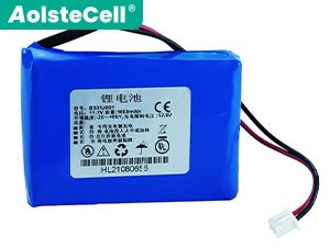 SADINAN B301J001 battery