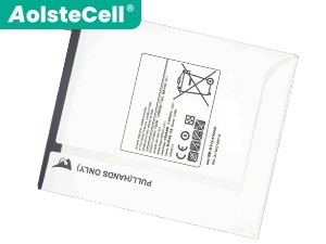 Samsung P355Y battery