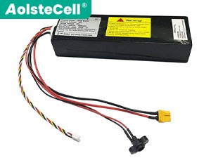 Segway Ninebot L6 battery