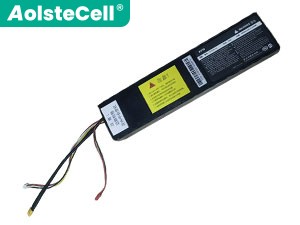 Segway Ninebot F30 Electric Scooter battery