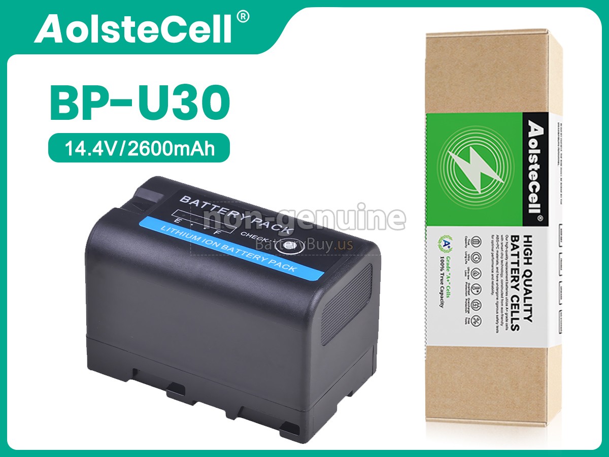 battery for Sony BP-U30