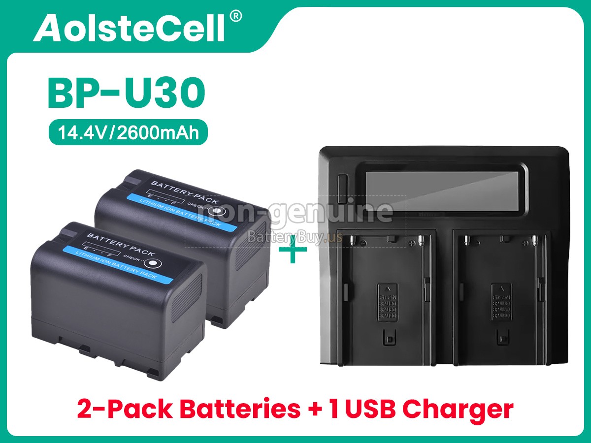 battery for Sony BP-U30