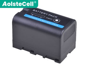 Sony BP-U30 battery