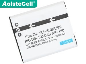 Sony MHS-FS2K battery
