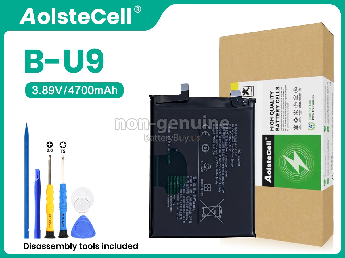 battery for Vivo V2190A